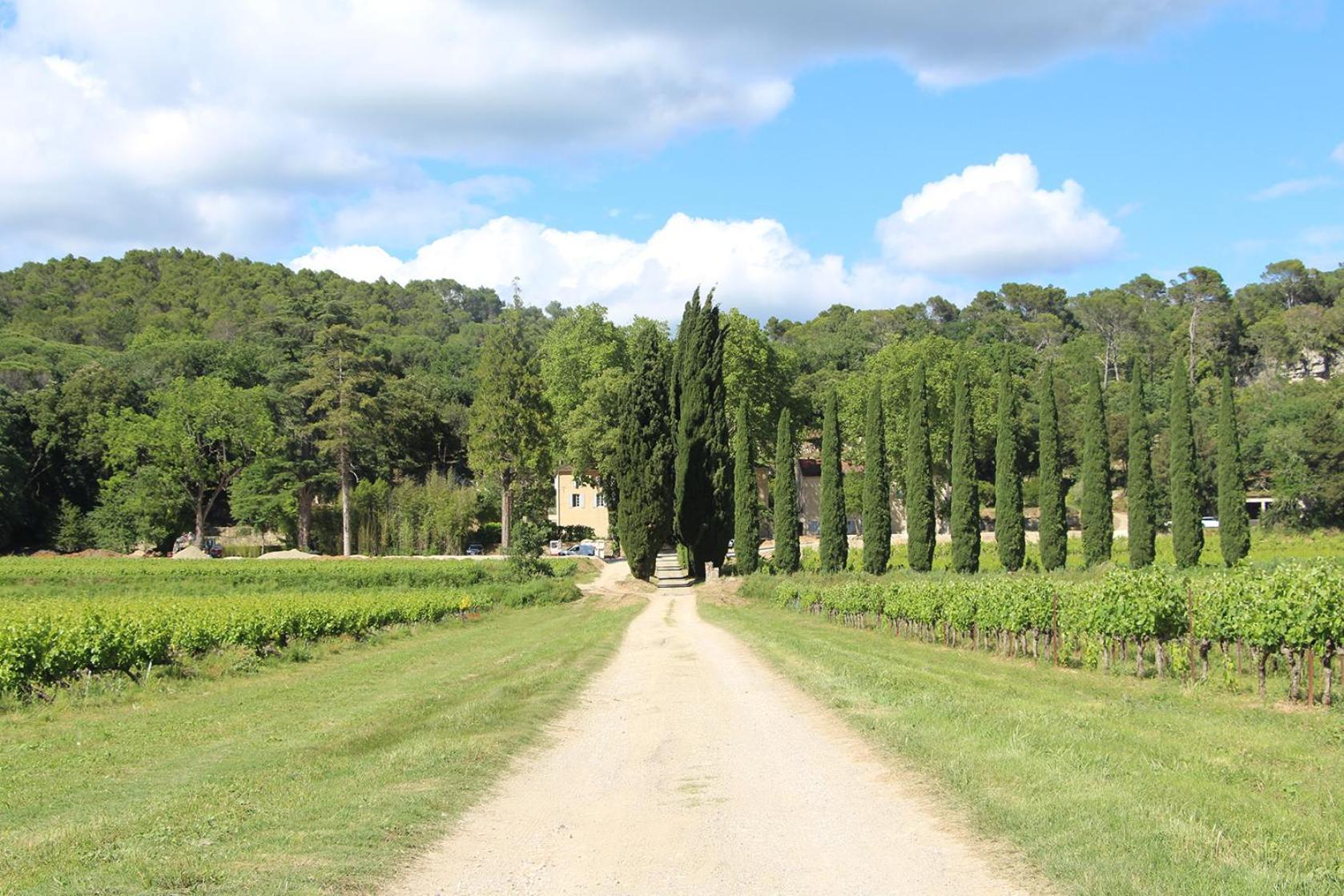 Chateau De L'Olivete Cornillon Eksteriør bilde
